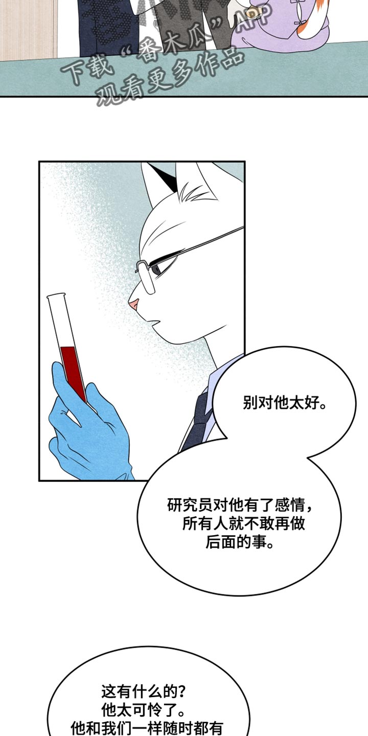 灵猫欧米伽完整版漫画,第158话2图