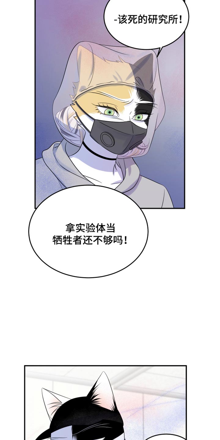 灵猫欧米伽什么时候更新漫画,第123话2图