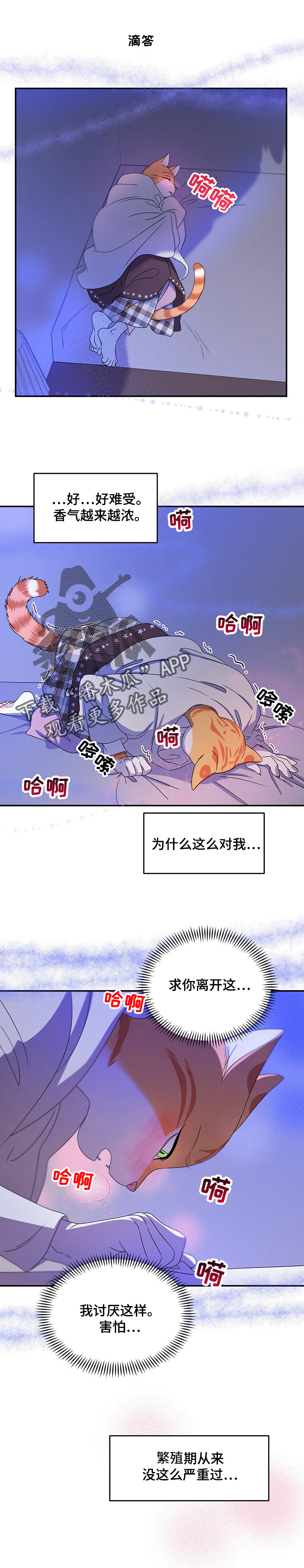 灵猫欧米伽大结局漫画,第7话2图