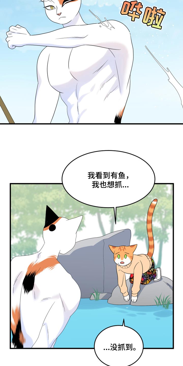 灵猫是什么动物漫画,第68话1图