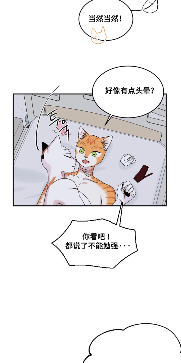 灵猫欧米伽漫画,第168话1图