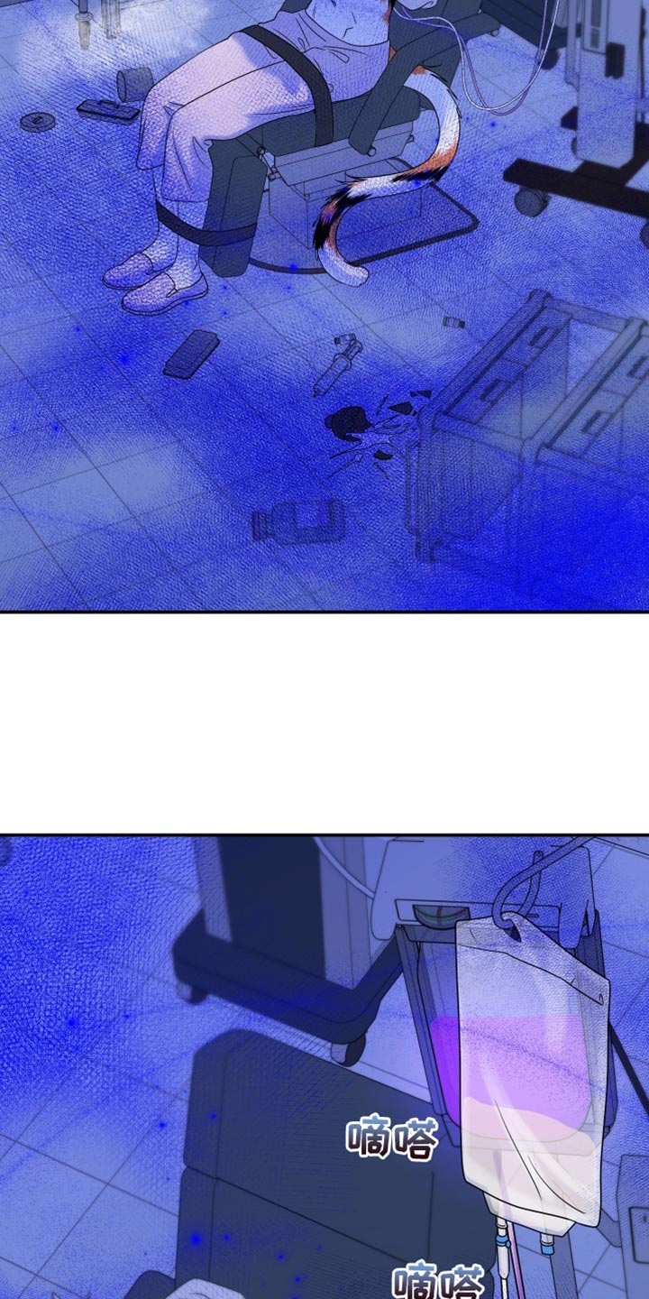 灵猫简介漫画,第161话1图