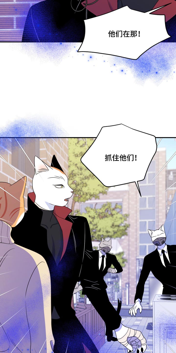 灵猫欧米迦漫画,第49话2图