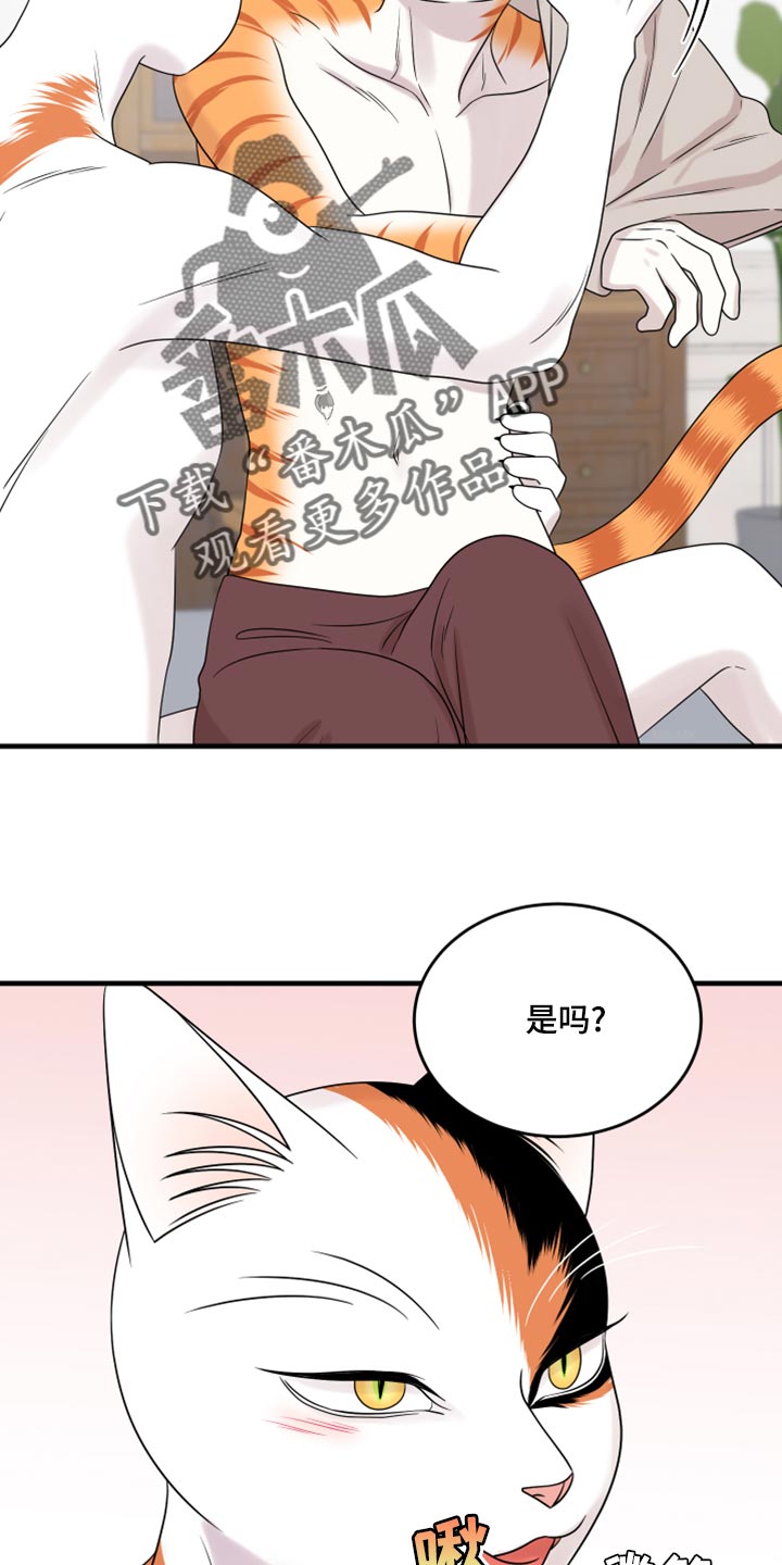 灵猫欧米伽完整版漫画,第91话2图