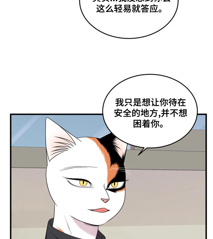 漫画灵猫欧米伽漫画,第102话1图