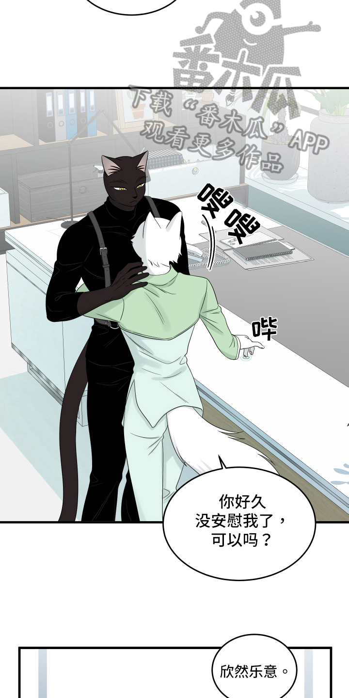 灵猫欧米伽免费阅读漫画,第107话2图