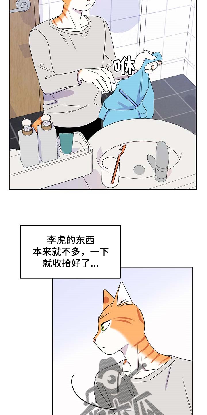 灵猫欧米伽视频漫画,第42话1图