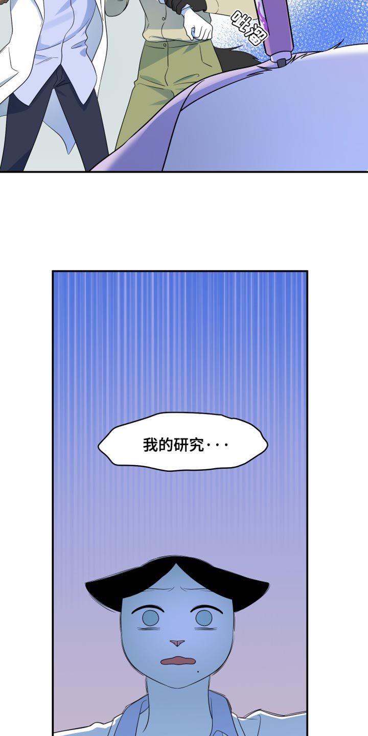 灵猫欧米伽3漫画,第132话1图