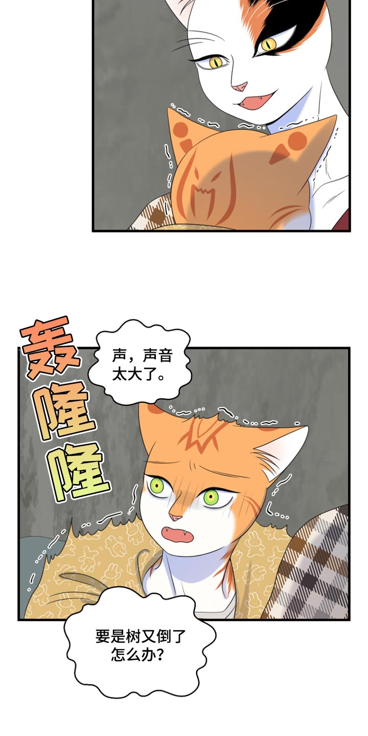 灵猫欧米伽漫蛙叫什么漫画,第89话2图