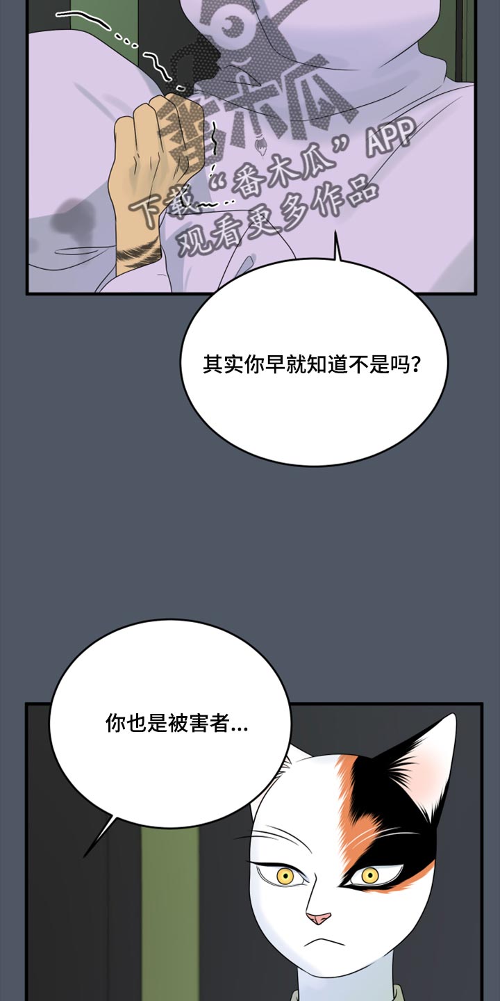 欧米伽3对猫的作用漫画,第80话2图