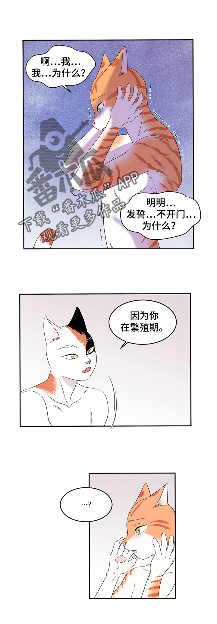 灵猫欧米伽免费版在哪里看漫画,第8话1图