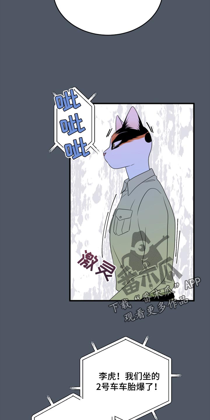 灵猫欧米伽免费漫画,第80话1图