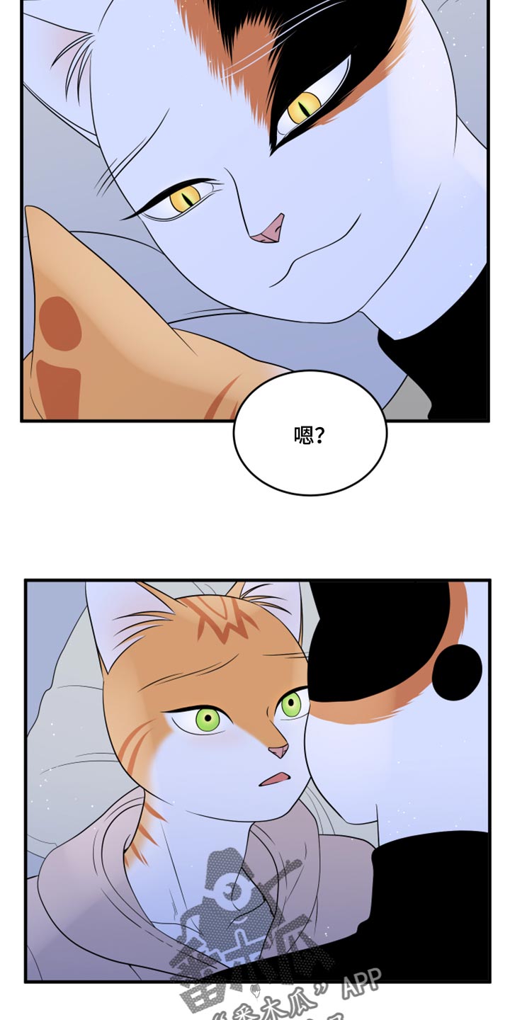 灵猫欧米伽什么时候更新第三季漫画,第75话1图