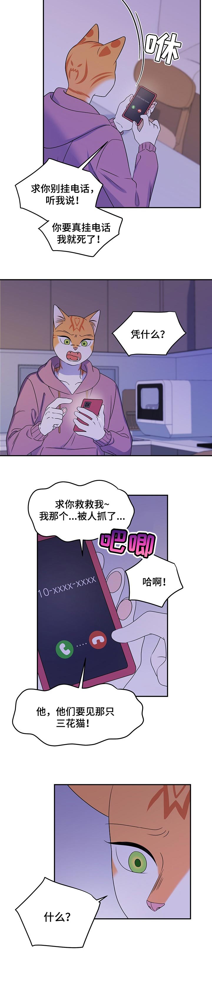 灵猫欧米伽免费版在哪里看漫画,第33话1图