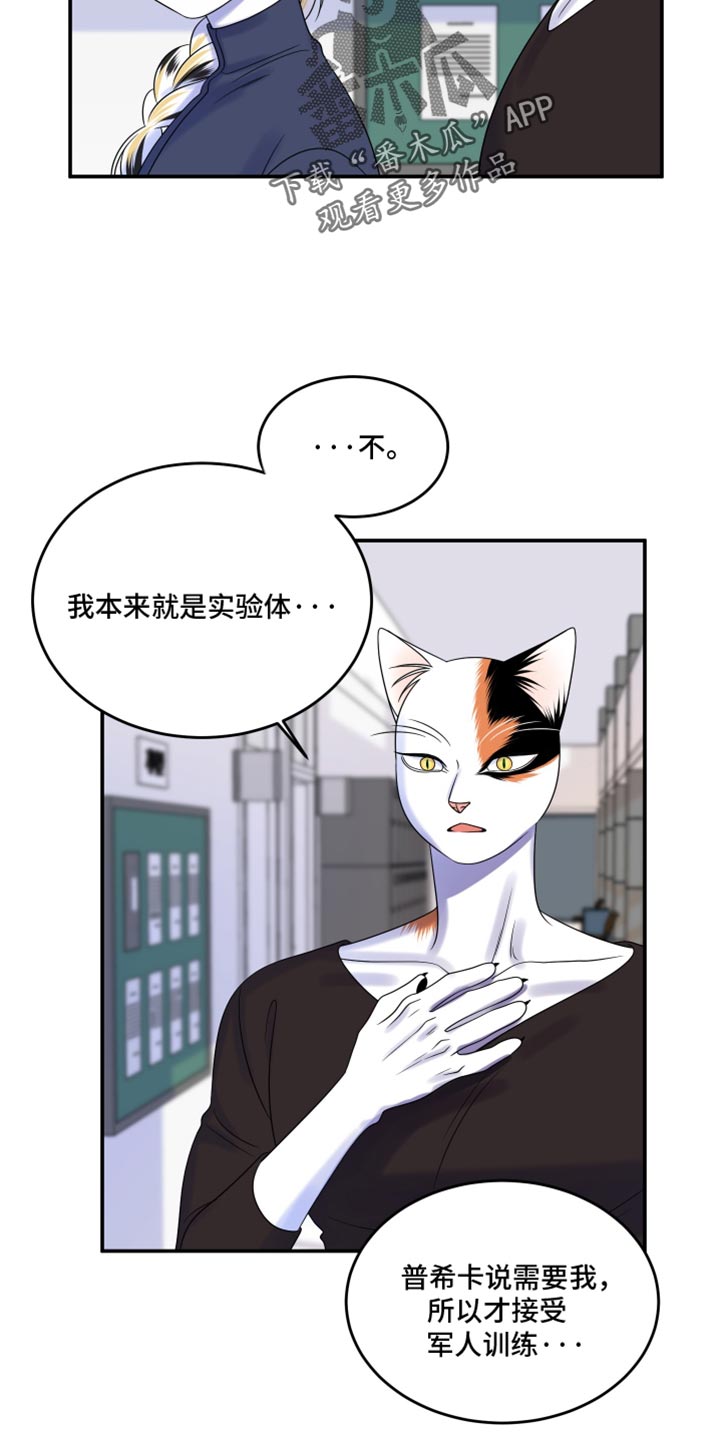 灵猫欧米伽免费阅读漫画,第117话1图