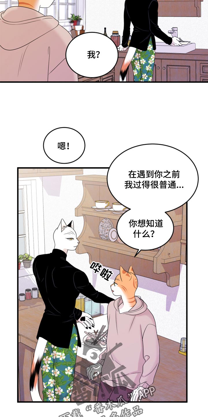 灵猫欧米伽最新话漫画,第74话1图