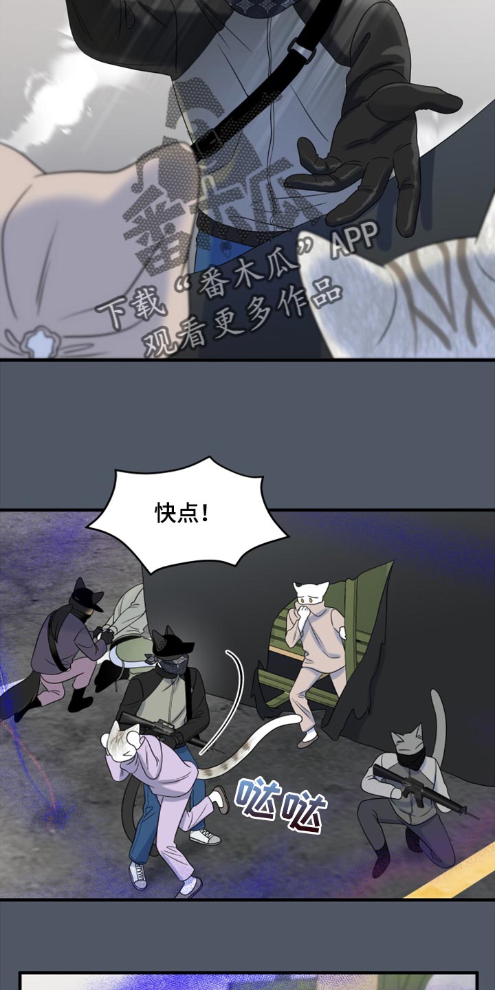 漫画灵猫欧米伽漫画,第81话2图