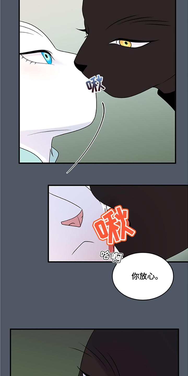 灵猫欧米伽免费阅读漫画,第79话1图