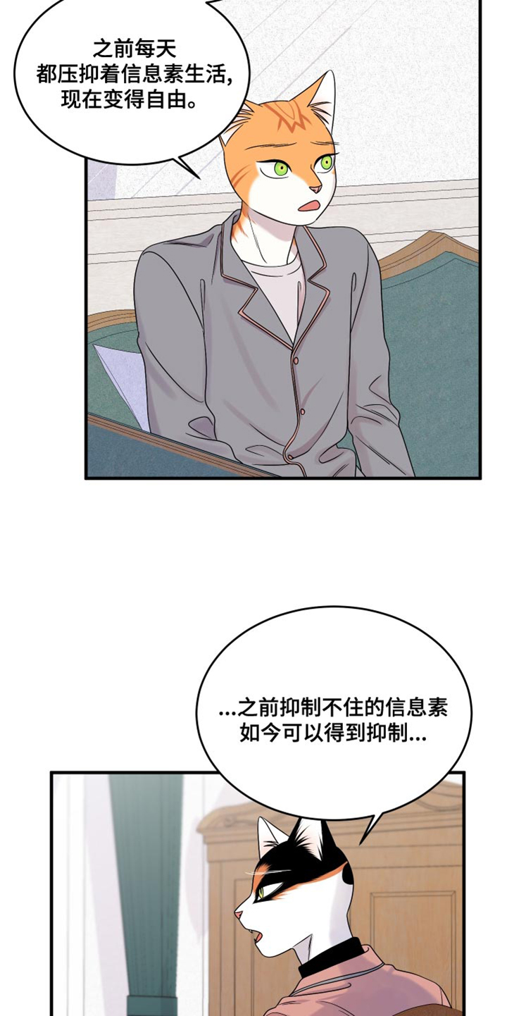 灵猫欧米伽又叫什么漫画,第99话1图