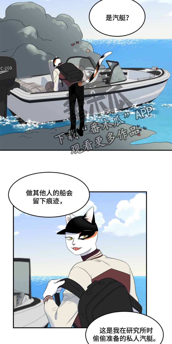 灵猫欧米伽完整版漫画,第60话2图