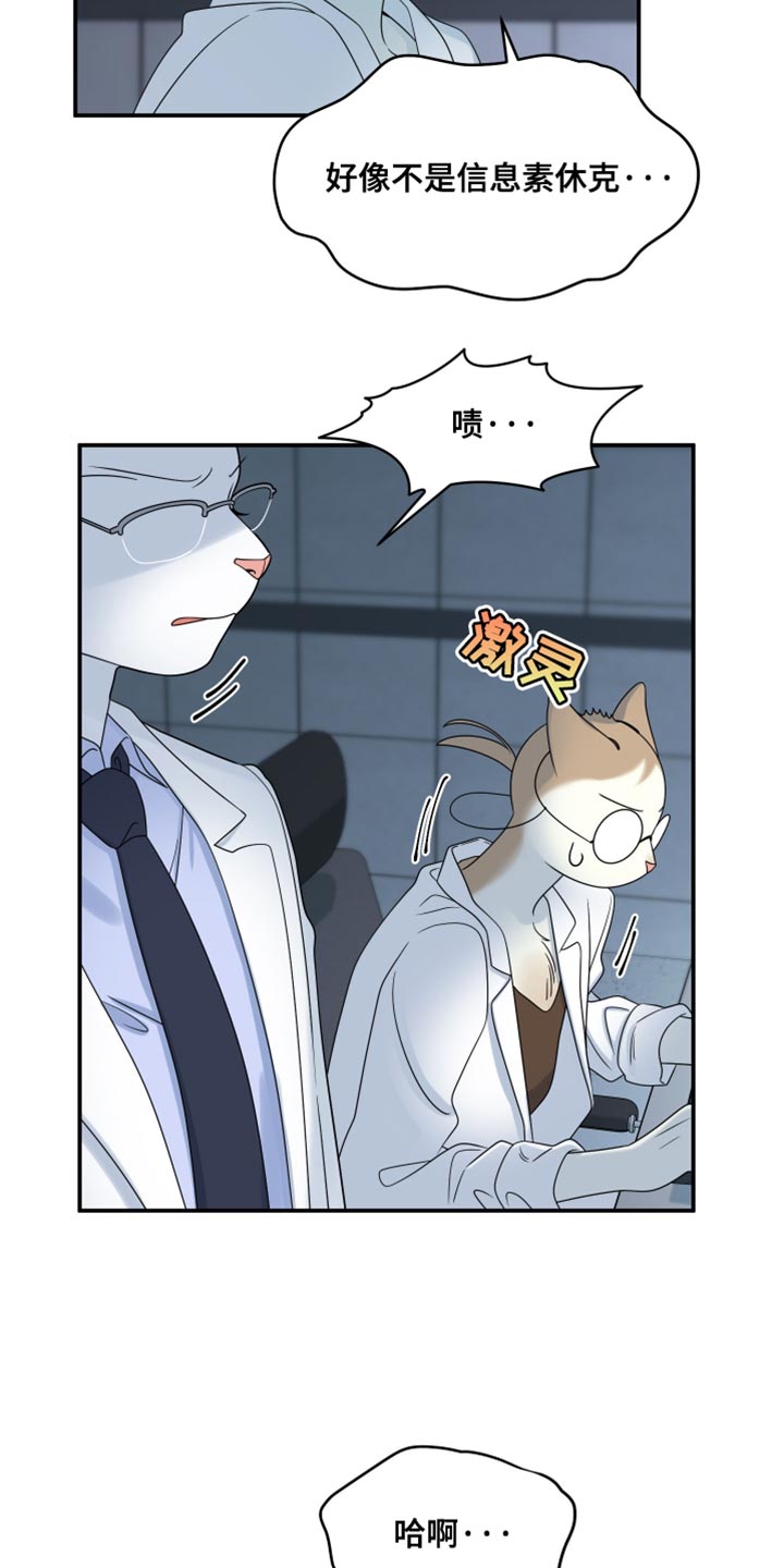 灵猫是什么动物漫画,第161话1图