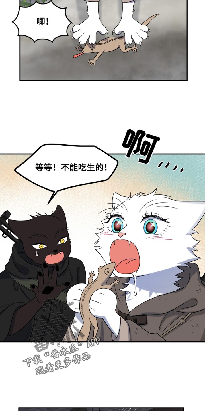 灵猫欧米伽免费版在哪里看漫画,第138话2图