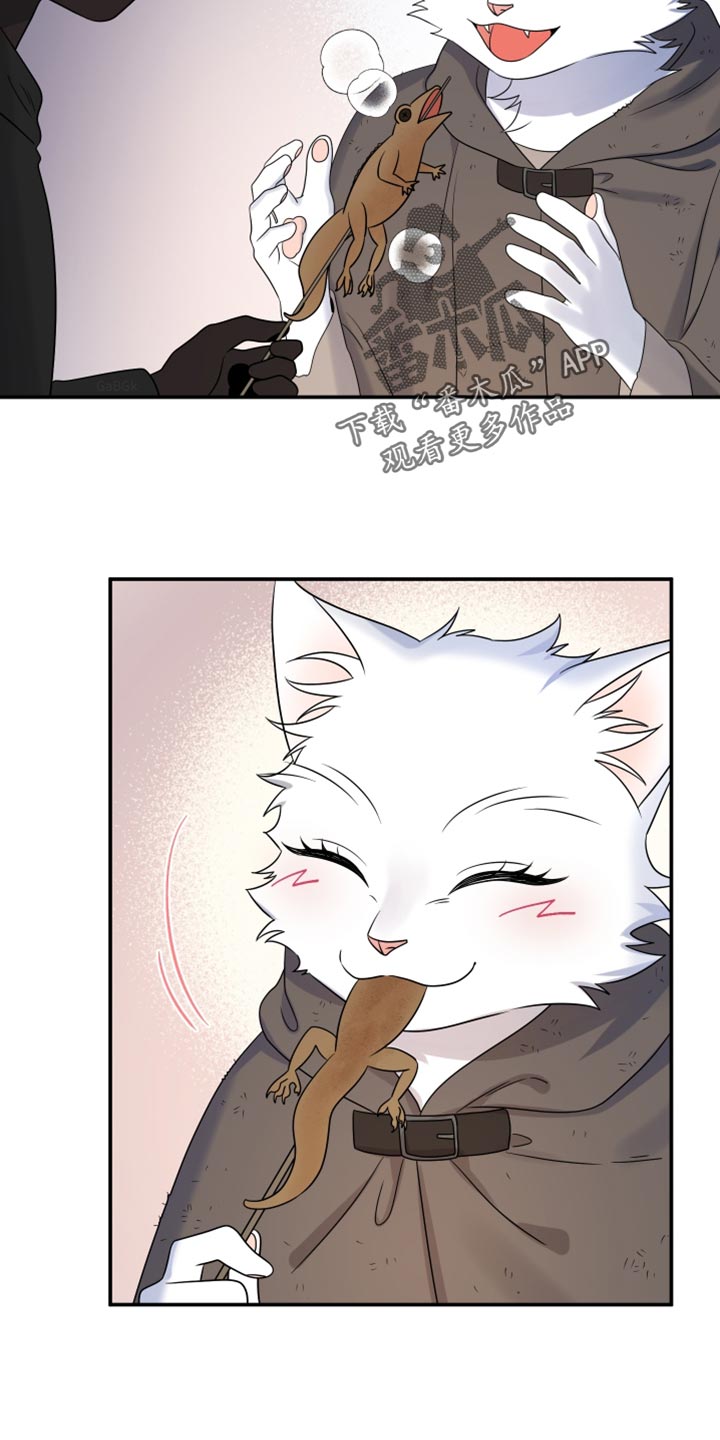 灵猫欧米伽什么时候更新第三季漫画,第138话1图