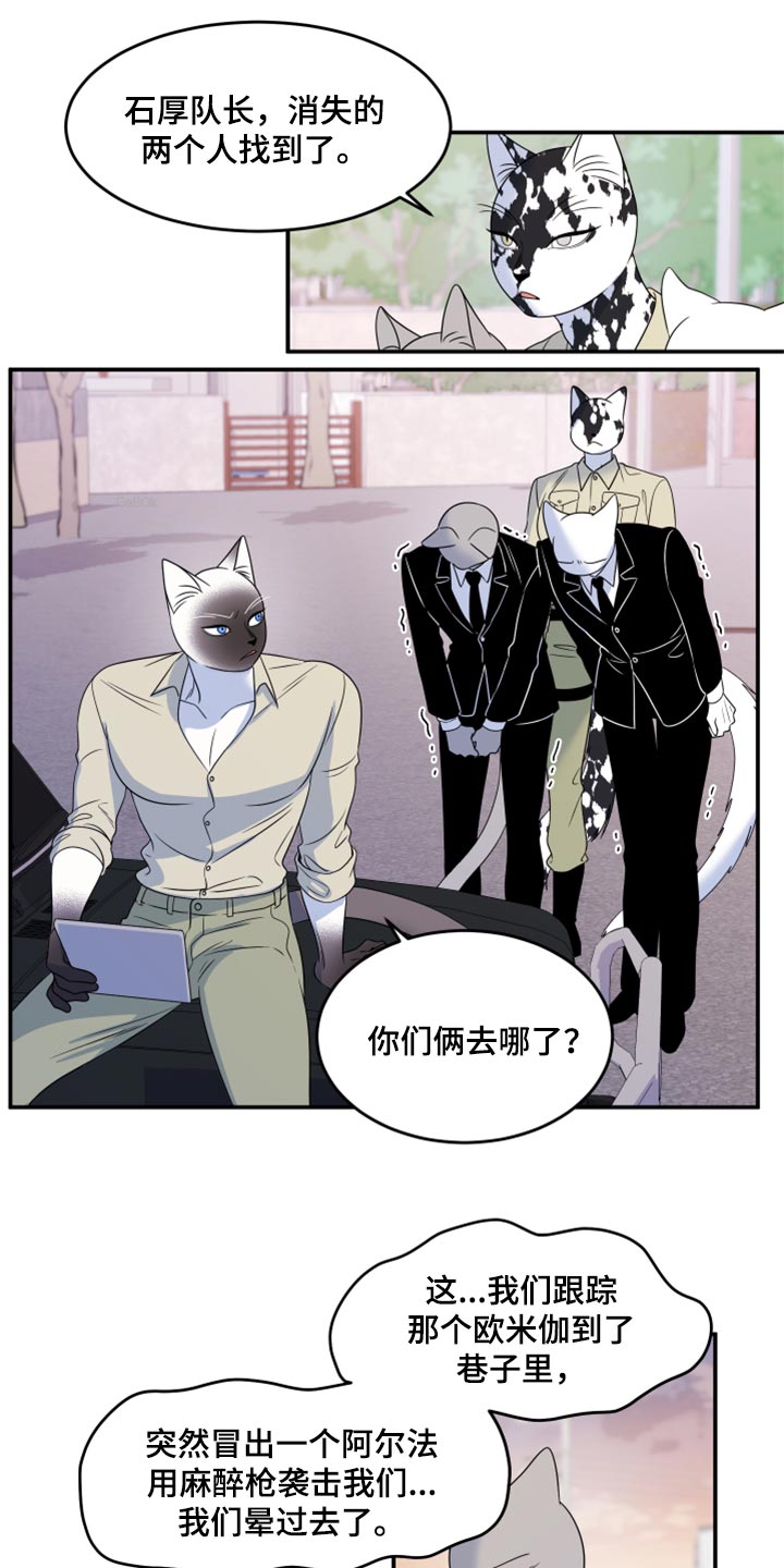 灵猫欧米伽漫画免费漫画,第56话1图