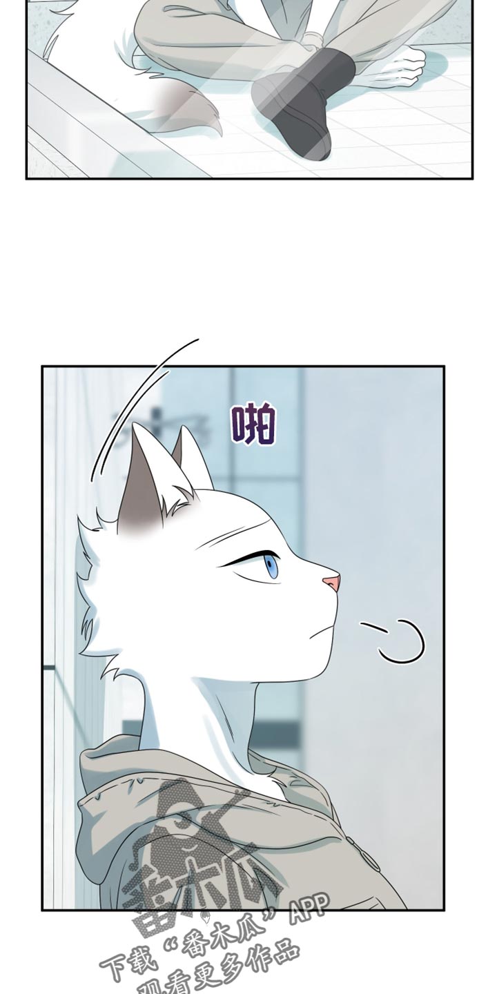 灵猫欧米伽视频漫画,第160话2图