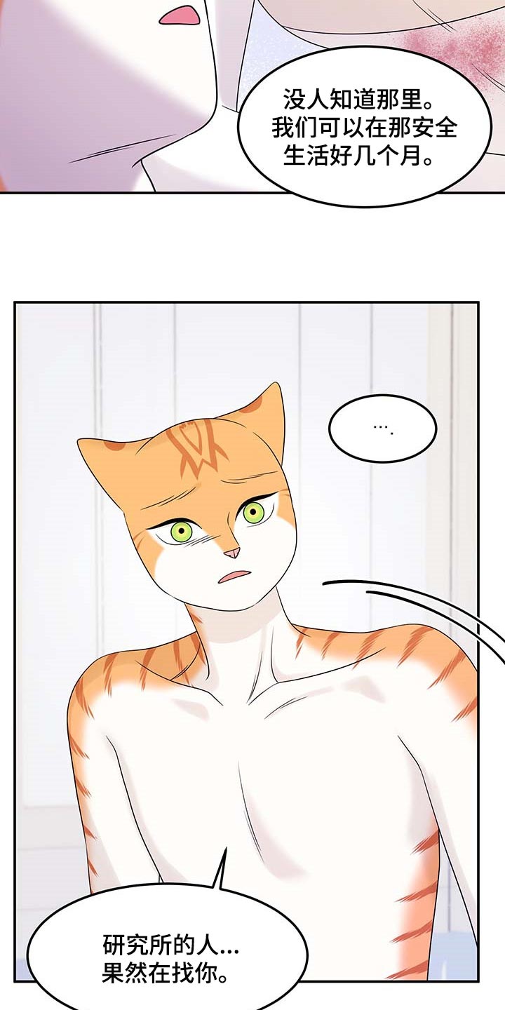 灵猫欧米伽双猫漫画,第48话1图