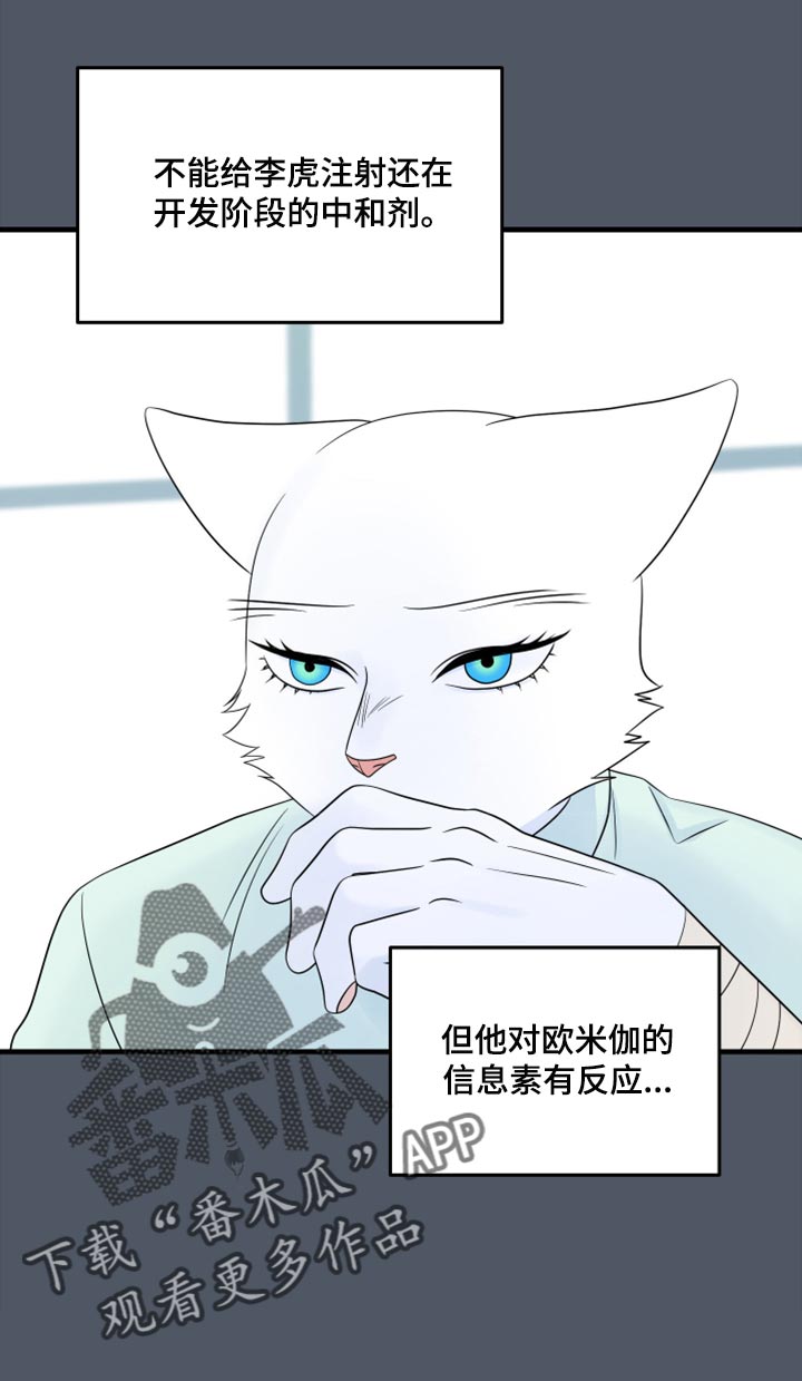 灵猫欧米伽完整版漫画,第86话2图