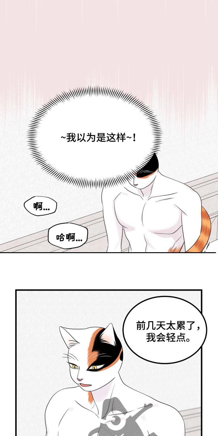 灵猫是什么动物漫画,第72话1图