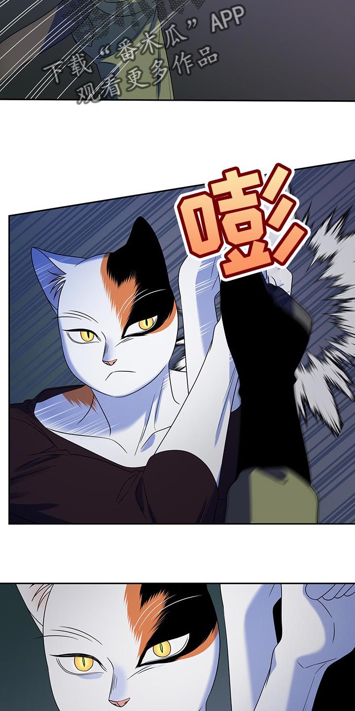 灵猫欧米伽又叫什么漫画,第39话2图