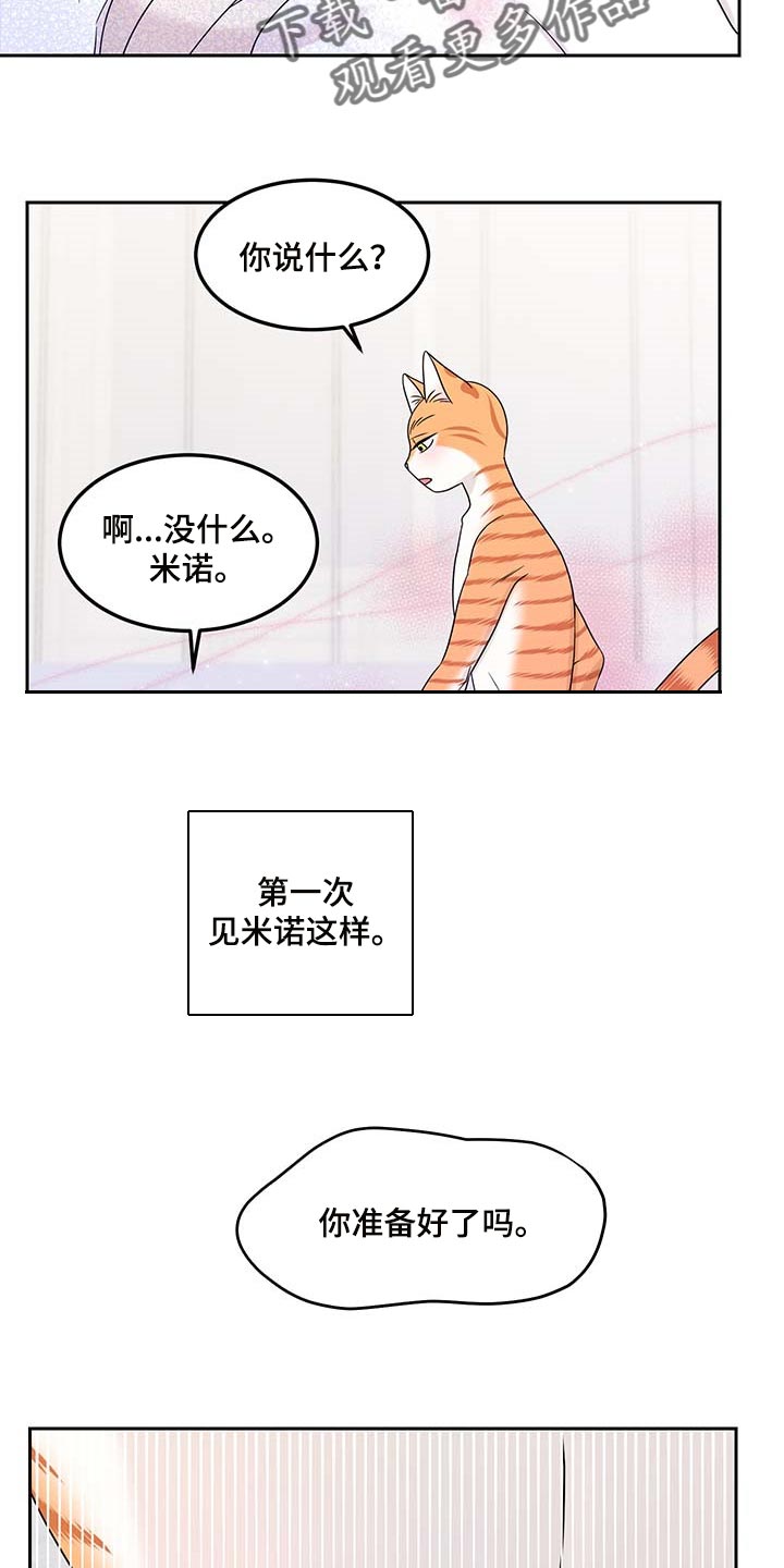 灵猫欧米伽什么时候更新第三季漫画,第46话1图