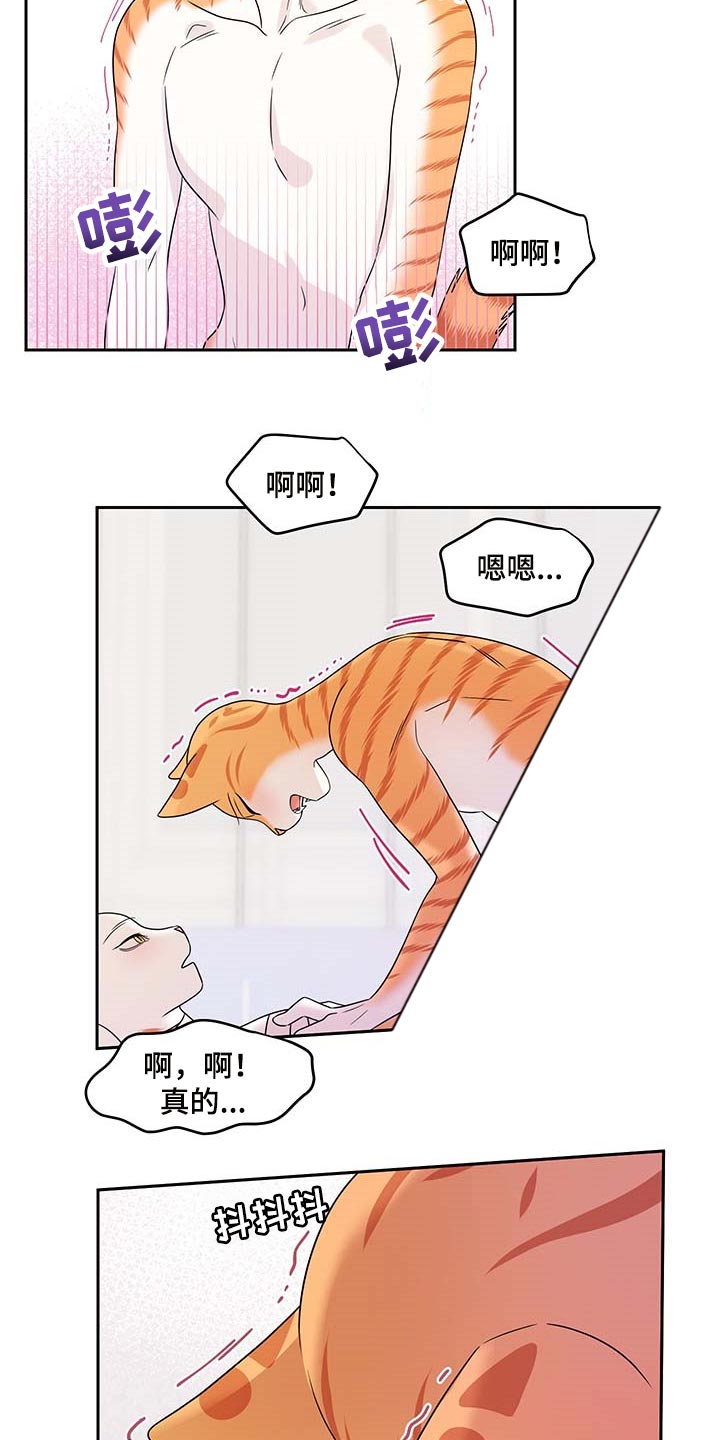 灵猫欧米伽什么时候更新第三季漫画,第46话2图