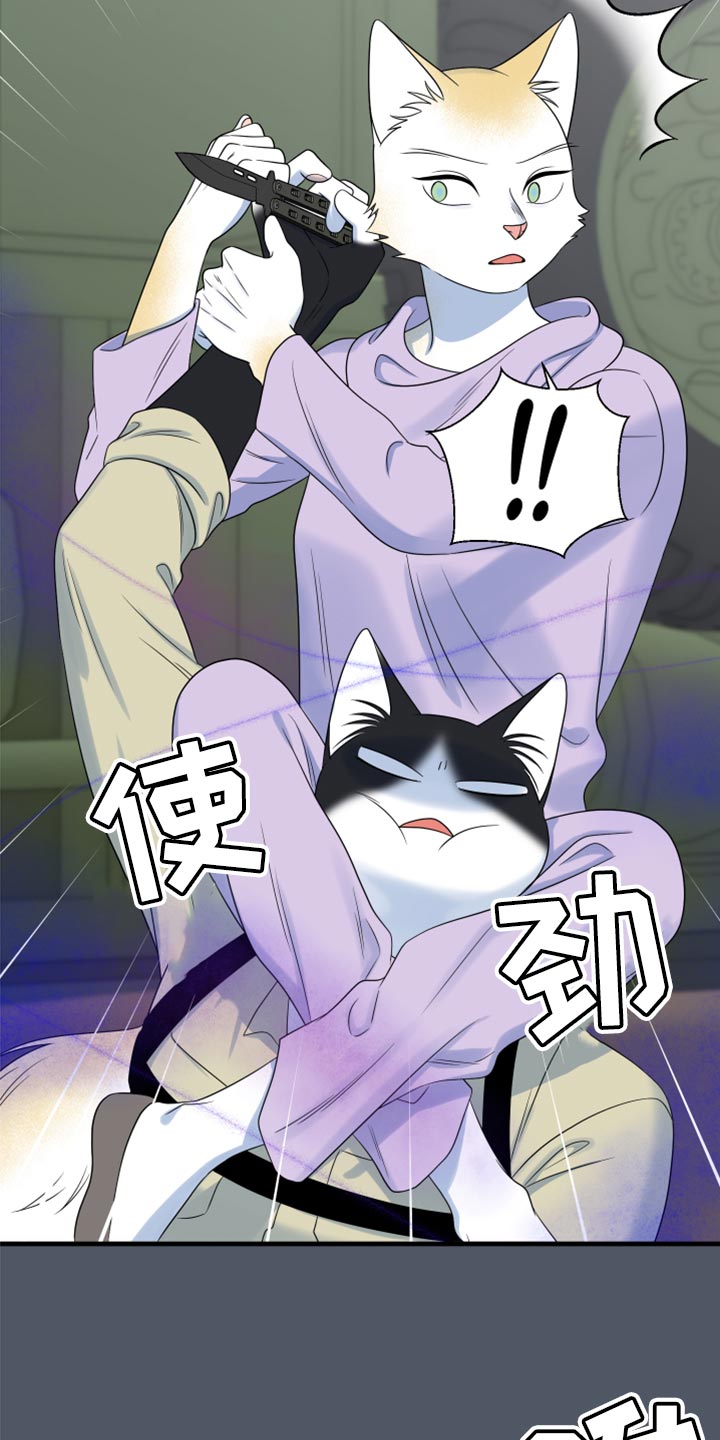 灵猫护塔漫画,第84话2图