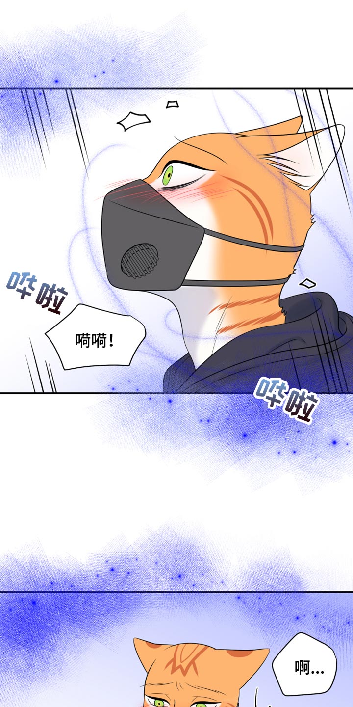 灵猫小说漫画,第63话1图