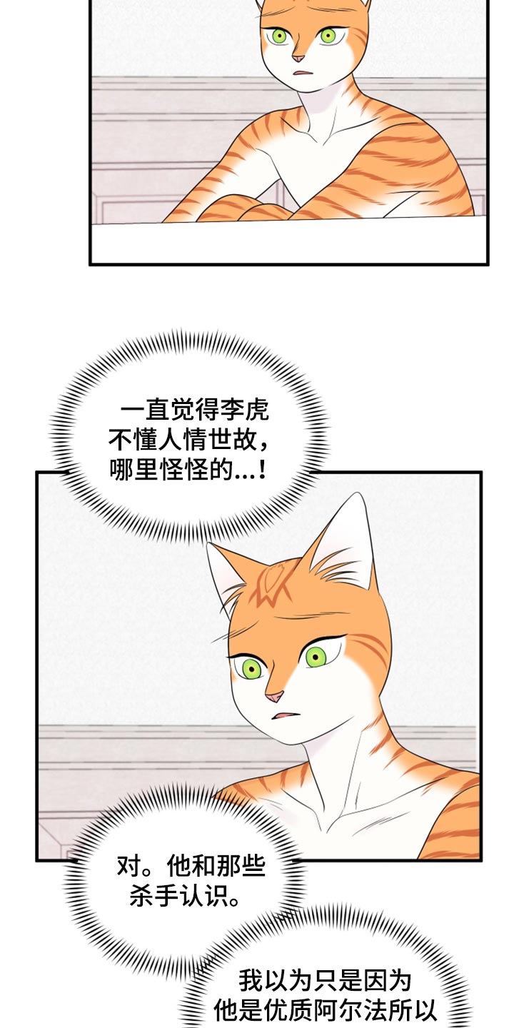 灵猫欧米伽免费阅读漫画,第71话2图