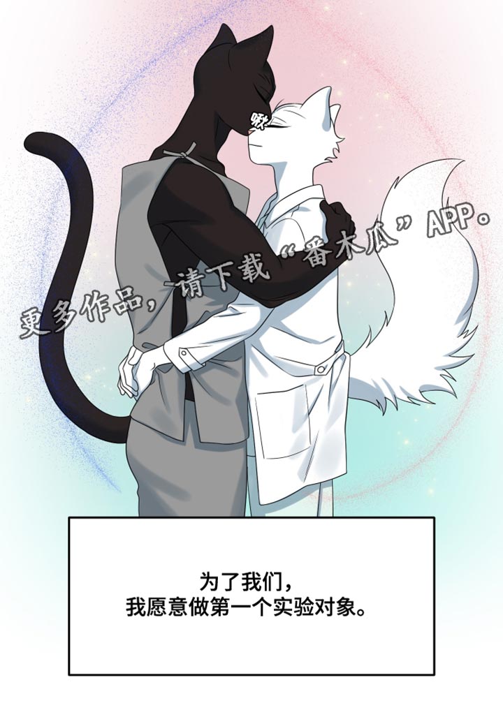 灵猫欧米伽漫画,第153话1图