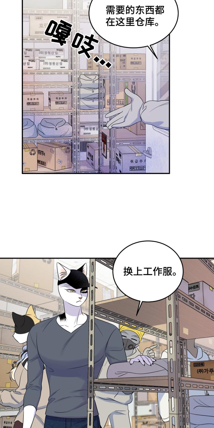 灵猫欧米伽在哪里免费看漫画,第123话1图