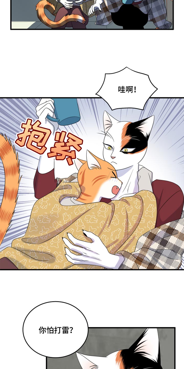 灵猫欧米伽在哪里免费看漫画,第89话1图