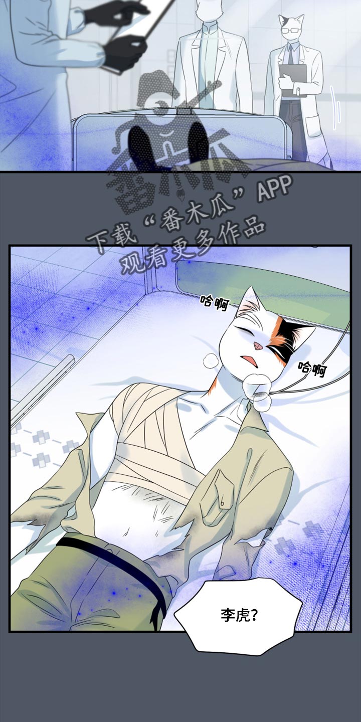 灵猫欧米伽免费版在哪里看漫画,第85话1图