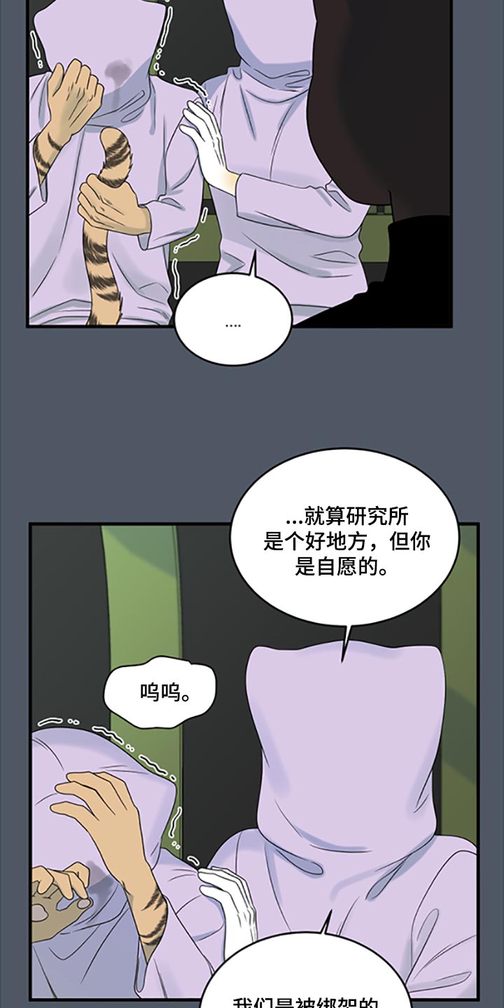 灵猫欧米伽漫画全集免费观看漫画,第80话1图