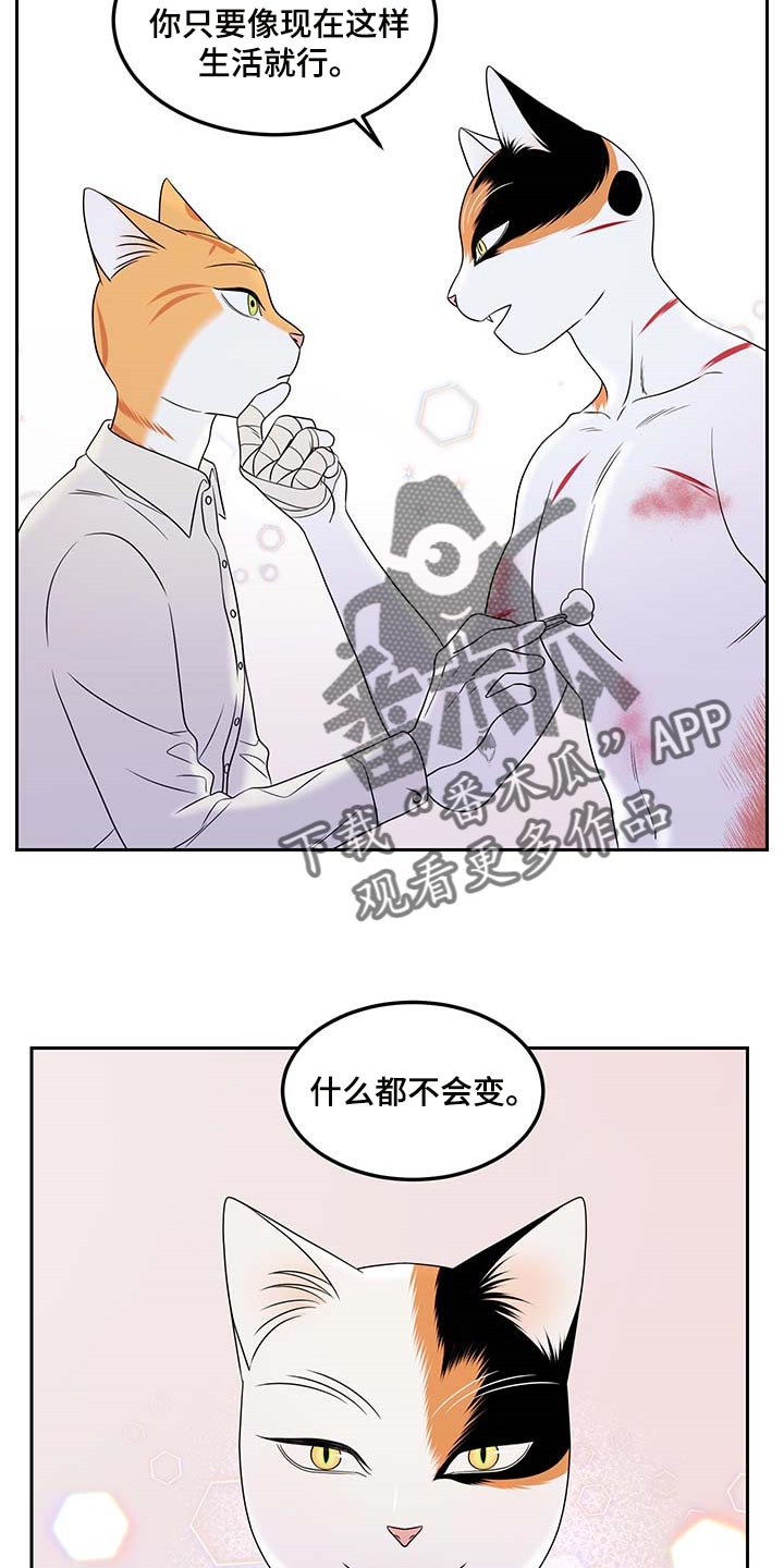 灵猫欧米伽第三季什么时候出漫画,第45话2图