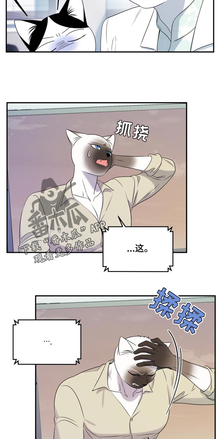 灵猫欧米伽动漫漫画,第57话2图