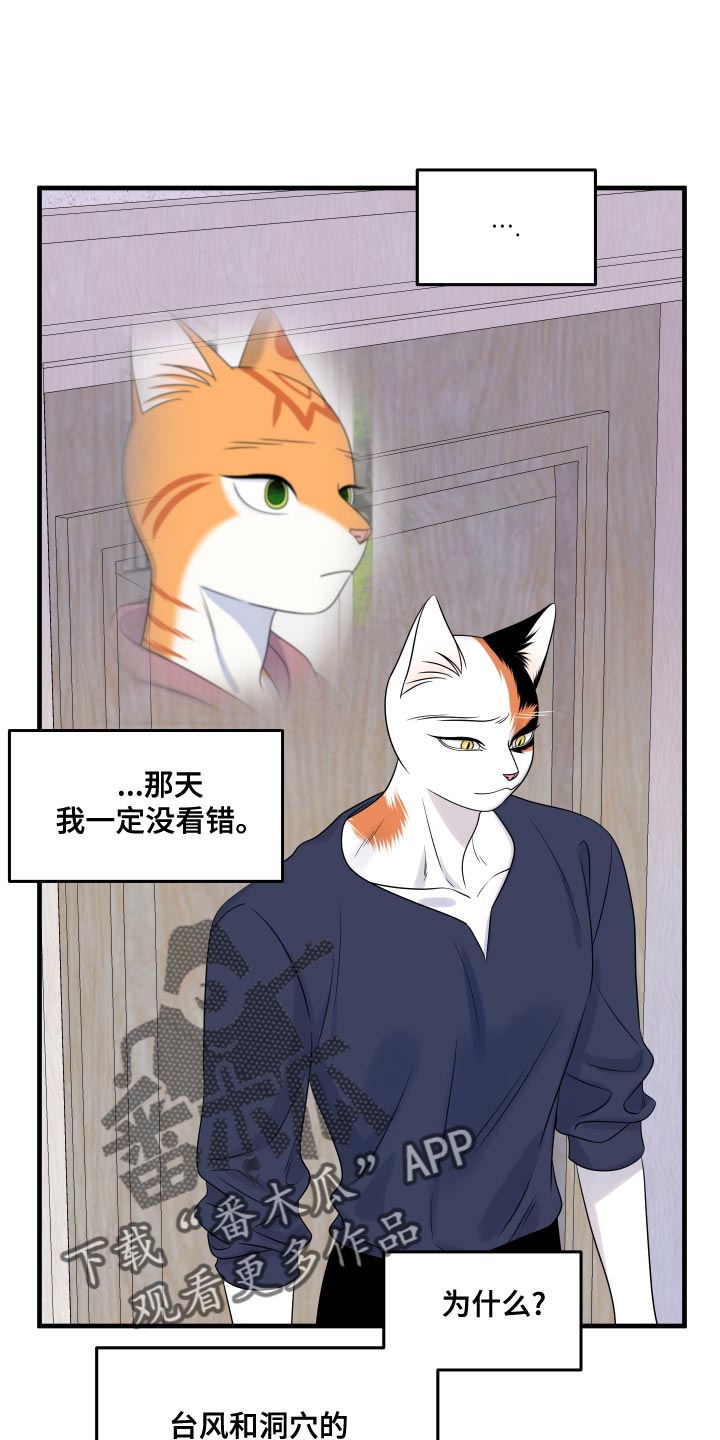 灵猫欧米伽是双男主吗漫画,第97话1图