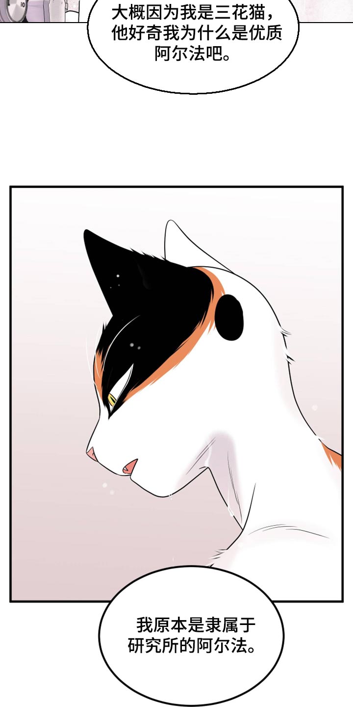 灵猫欧米伽双猫漫画,第71话2图