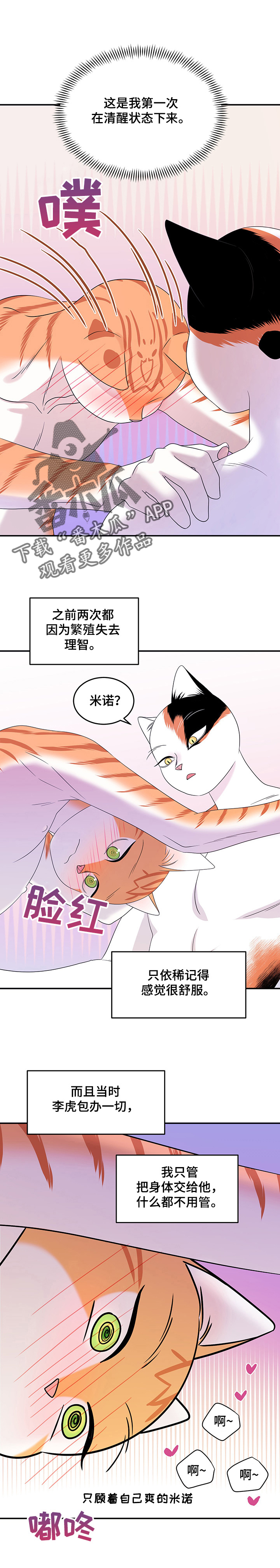 灵猫欧米伽免费阅读漫画,第13话2图