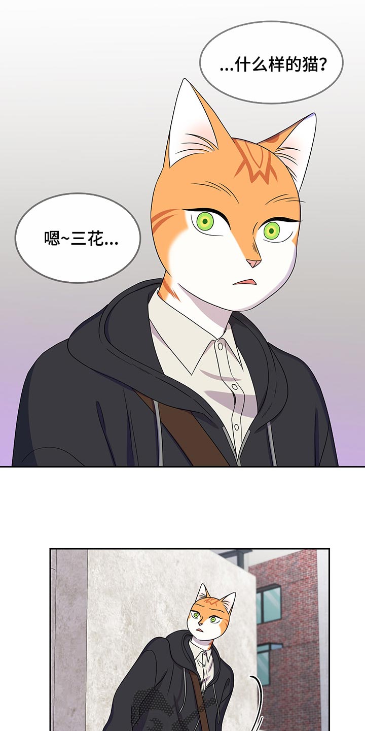 灵猫欧米伽漫画,第43话2图