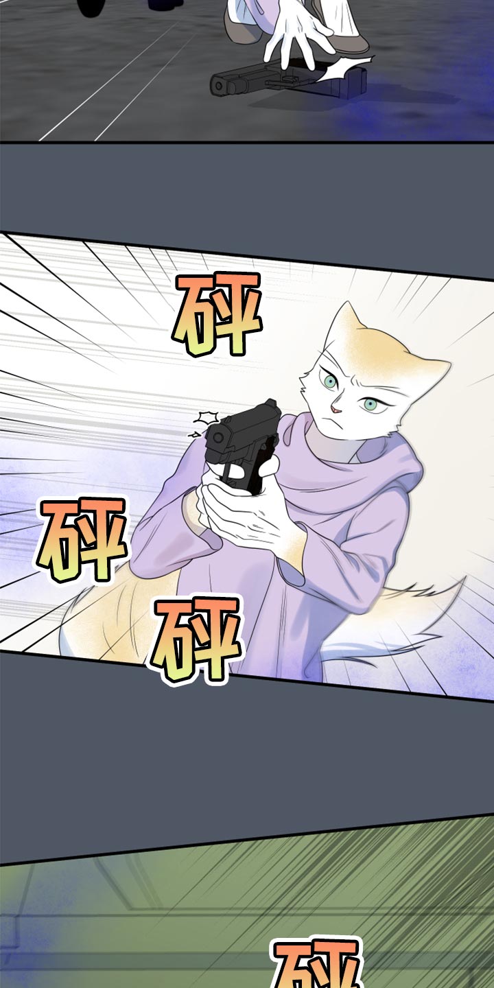 灵猫是什么动物漫画,第84话1图